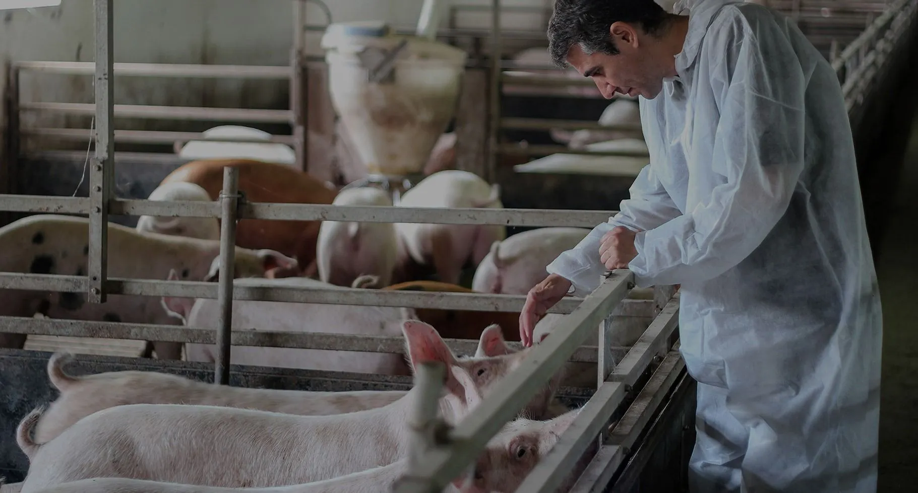 Lo stabilimento A&B Prosciutti di San Daniele del Friuli